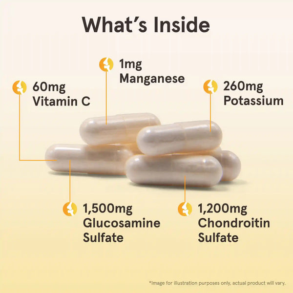 Glucosamine + Chondroitin