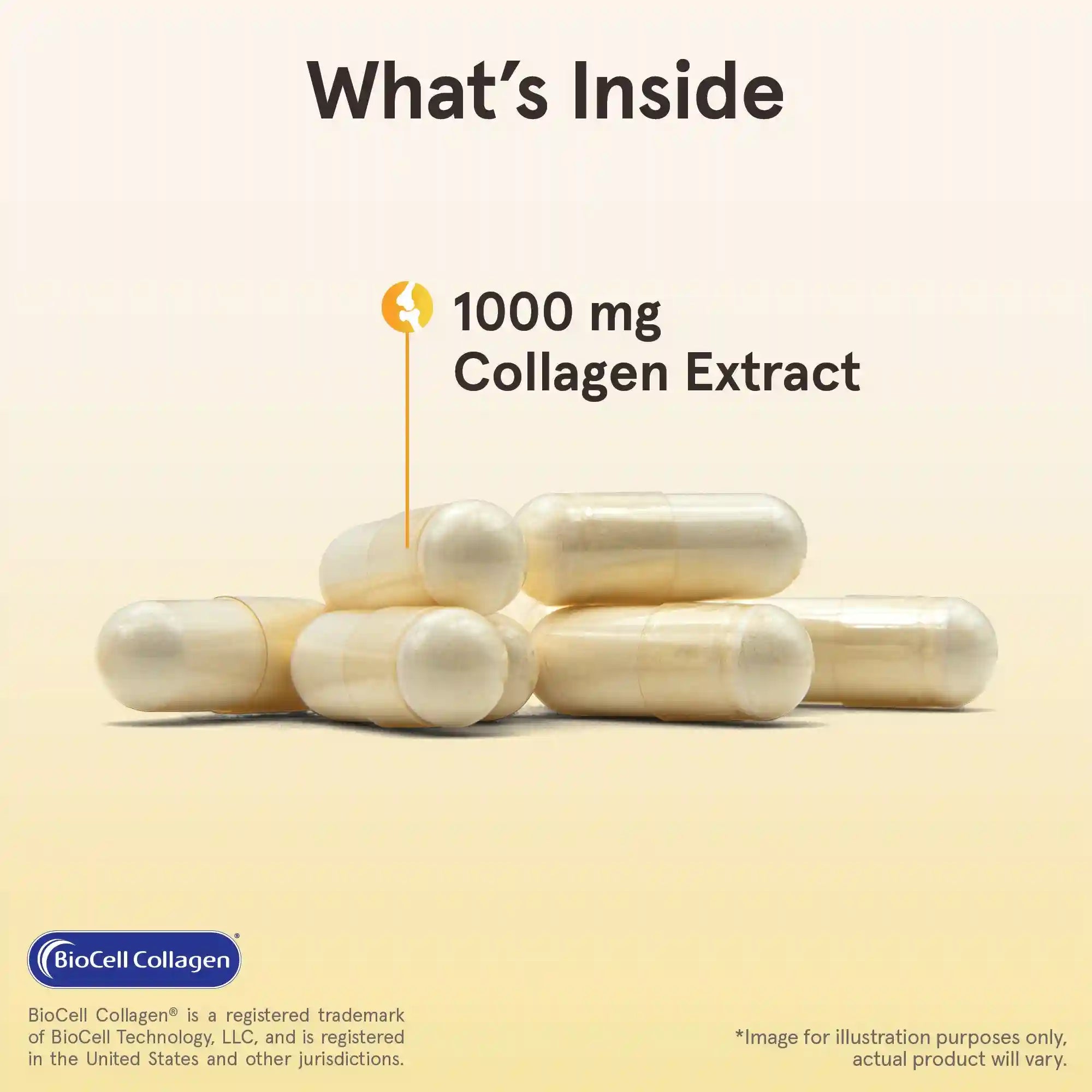 Type II Collagen Complex Secondary image
