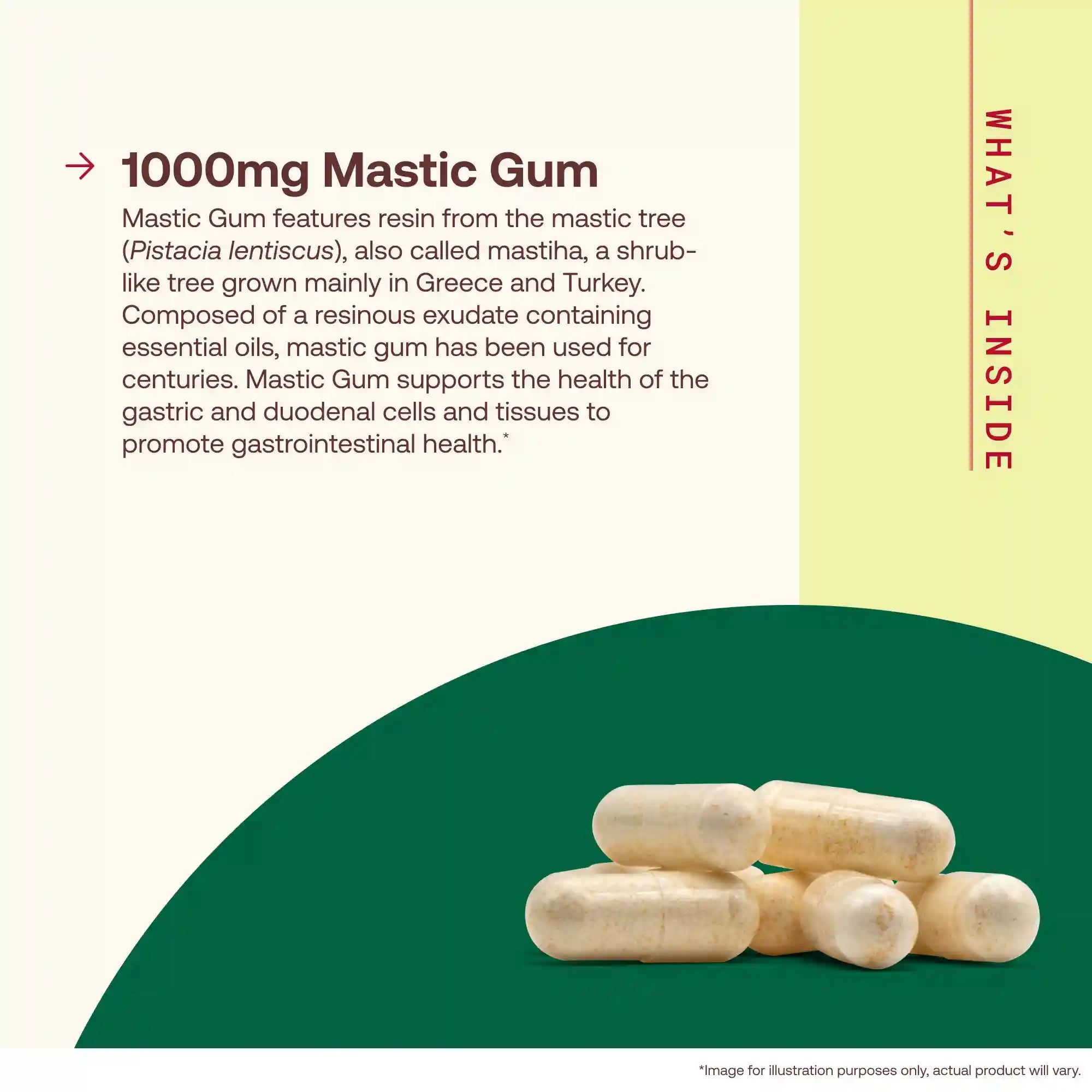 Mastic Gum Secondary image