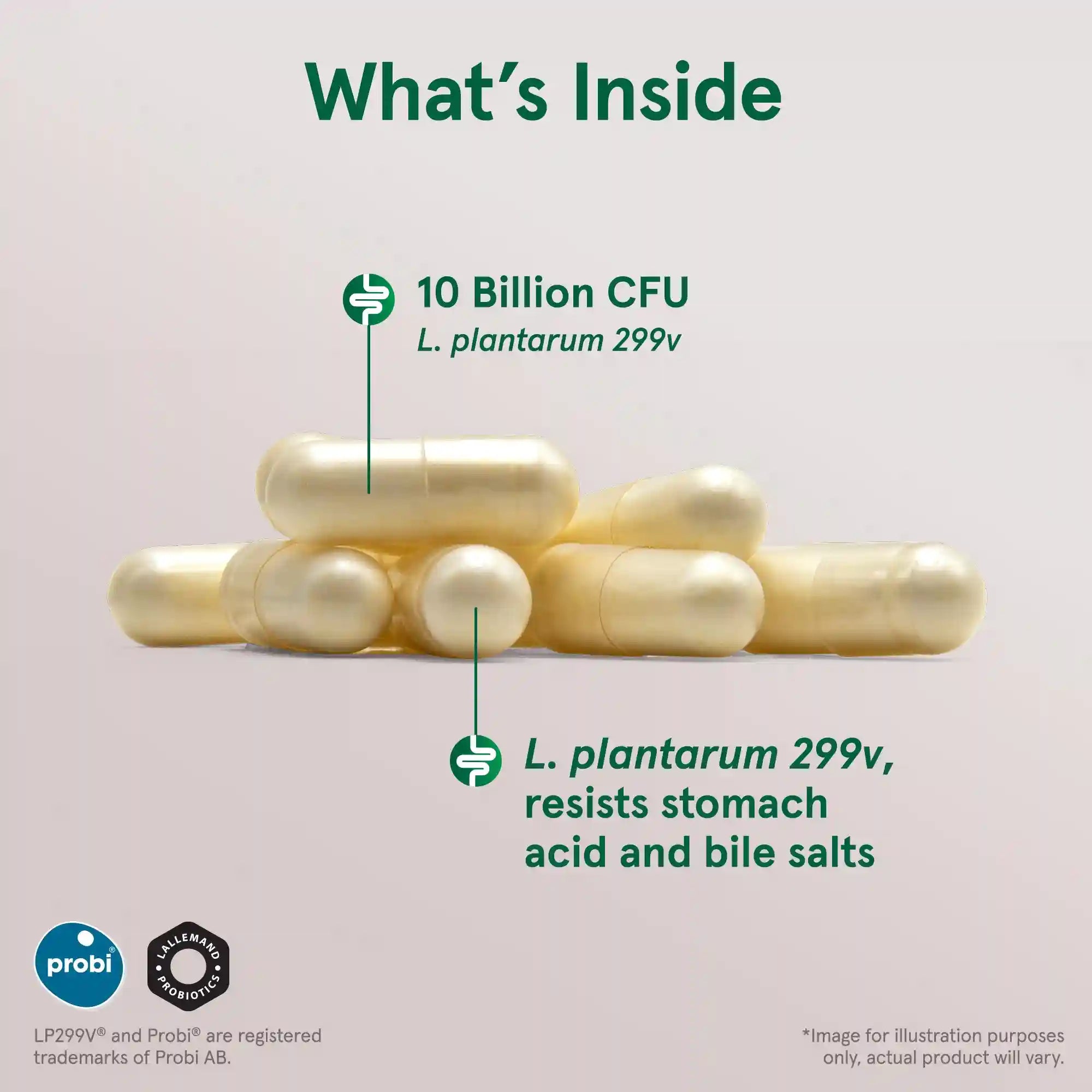 Ideal Bowel Support® LP299V® Secondary image