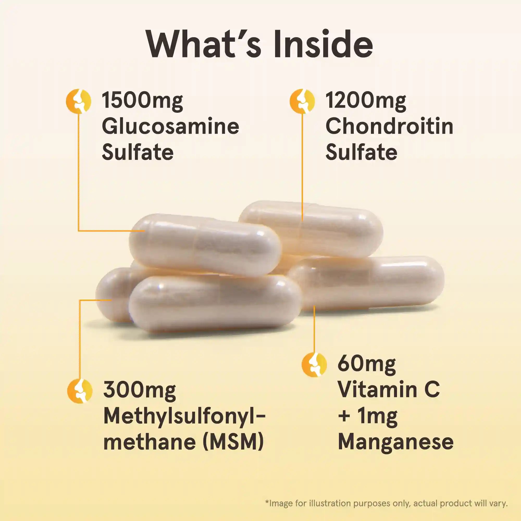 Glucosamine + Chondroitin + MSM Secondary image