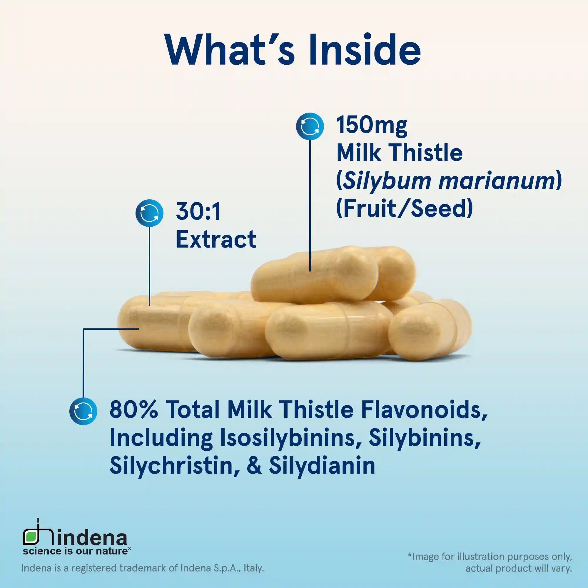 Milk Thistle Secondary image